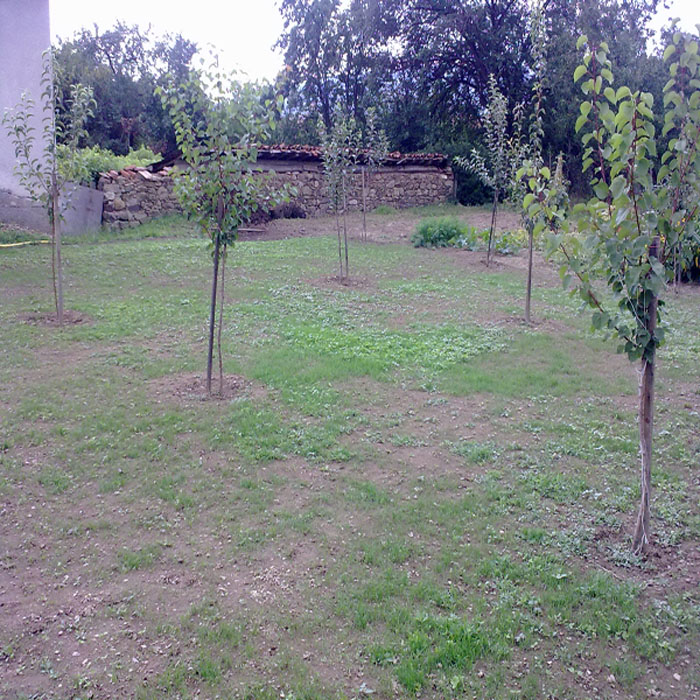 050920101272.jpg