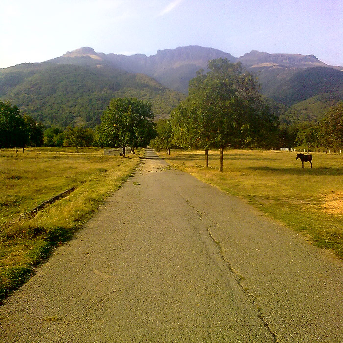 0909201013734.jpg