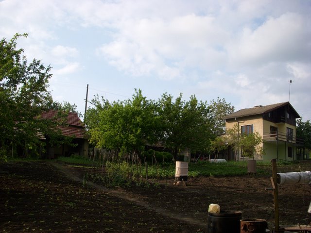 DSCN0449.jpg