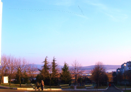 DSC04876.jpg-2.jpg