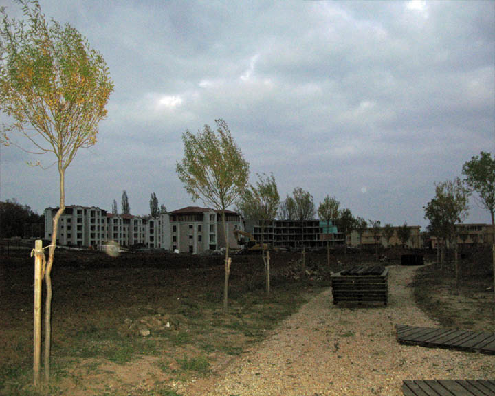01.jpg