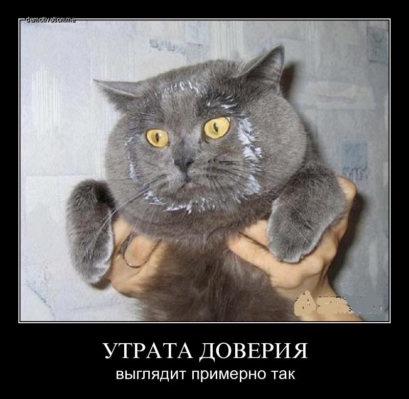 утрата доверия.jpg