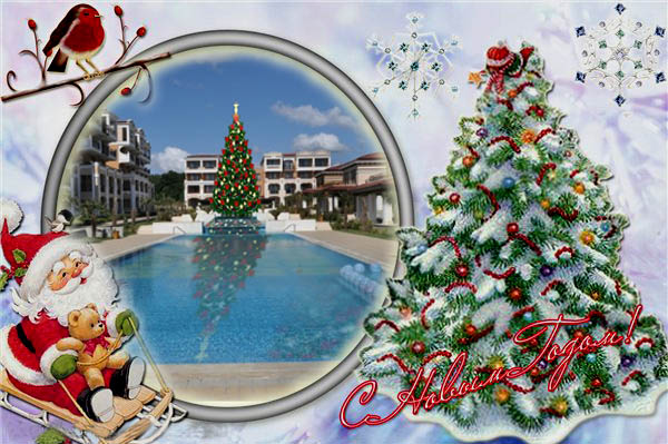 gardens BULG copy.jpg