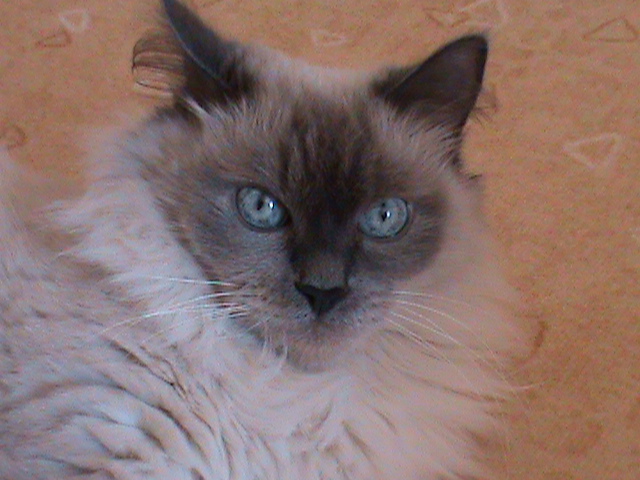 DSC00657.JPG