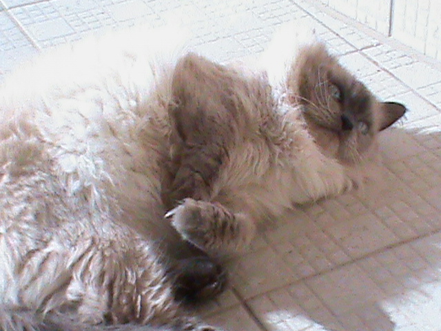 DSC00988.JPG