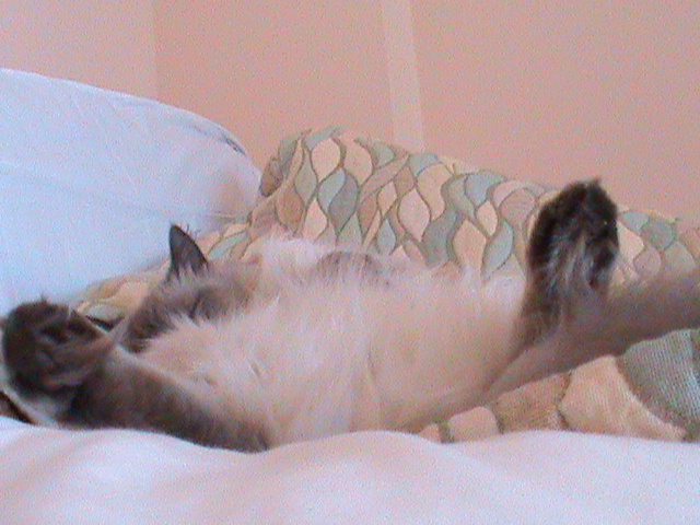 DSC00874.JPG