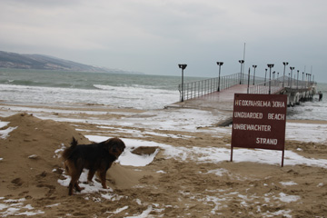 болгария 2012 043-1.jpg