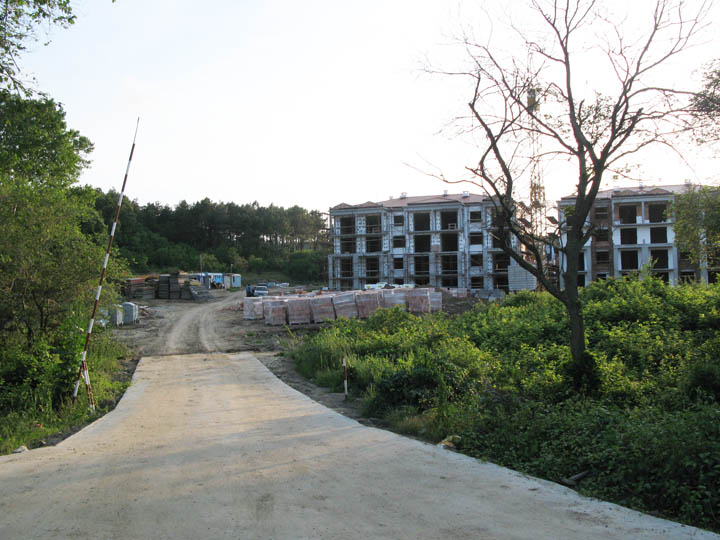 12-07.jpg