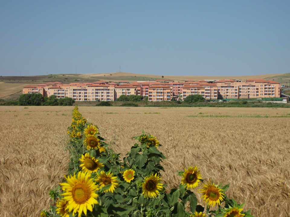 A_SD6_001.JPG