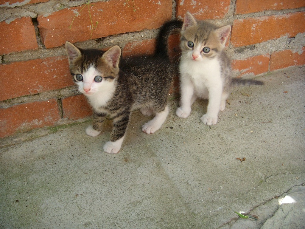 DSCN3675.JPG