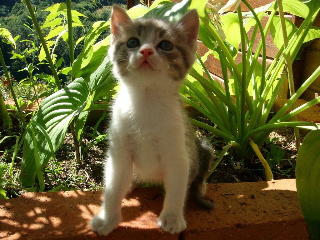 DSCN3682.JPG