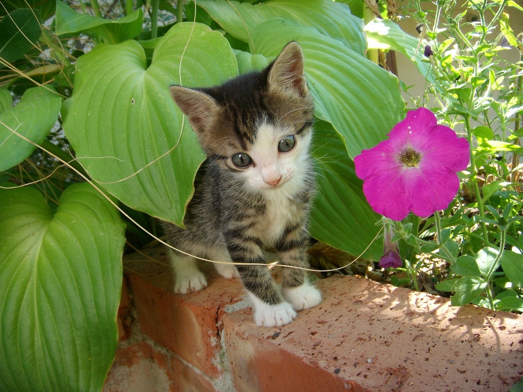DSCN3692.JPG