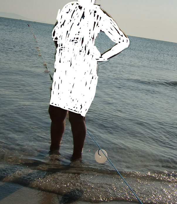 рис 1.png