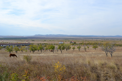 Болгария 2011.JPG