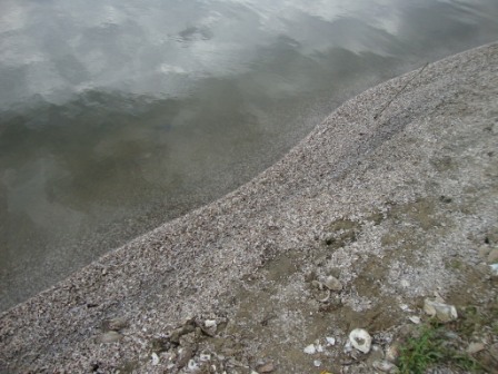 Ушла вода и обнажилось дно.JPG