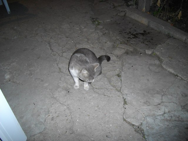 IMGP1026.JPG